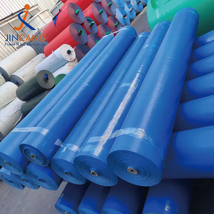 160G Blue PE Tarpaulin Roll