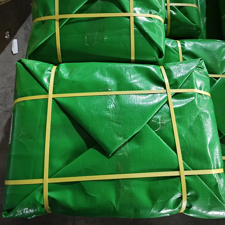 Grass Green 300 GSM Virgin PE Tarpaulin
