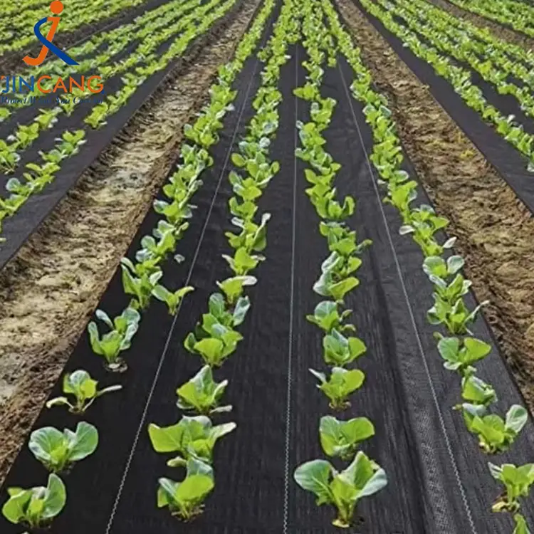 Odolná rohož buriny